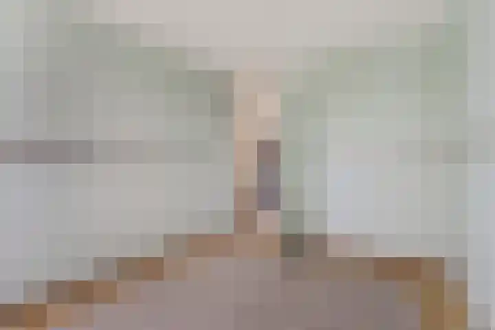 Het Zwanevlot 195 Zutphen thumbnail 9