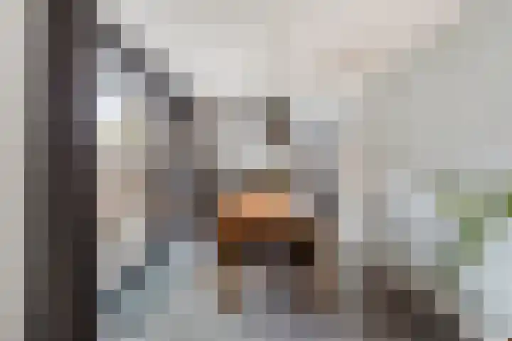 Het Zwanevlot 201 Zutphen thumbnail 10