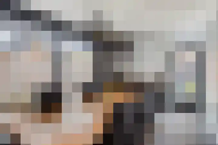 Het Zwanevlot 201 Zutphen thumbnail 11