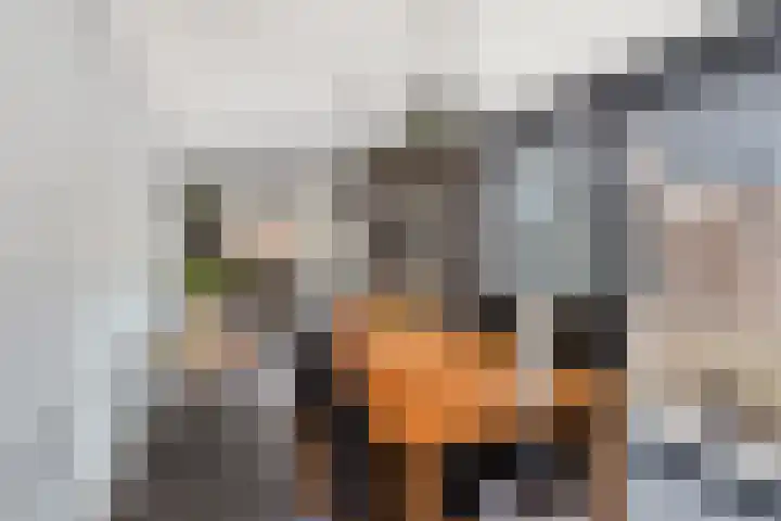 Het Zwanevlot 201 Zutphen thumbnail 12