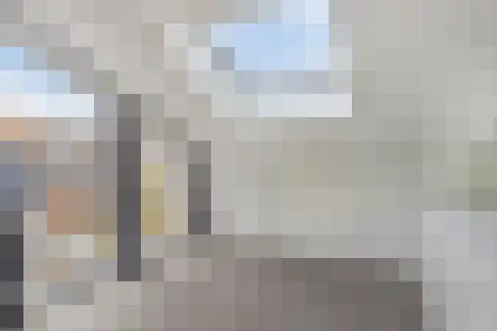 Het Zwanevlot 201 Zutphen thumbnail 20