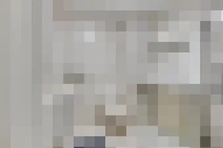 Het Zwanevlot 201 Zutphen thumbnail 22