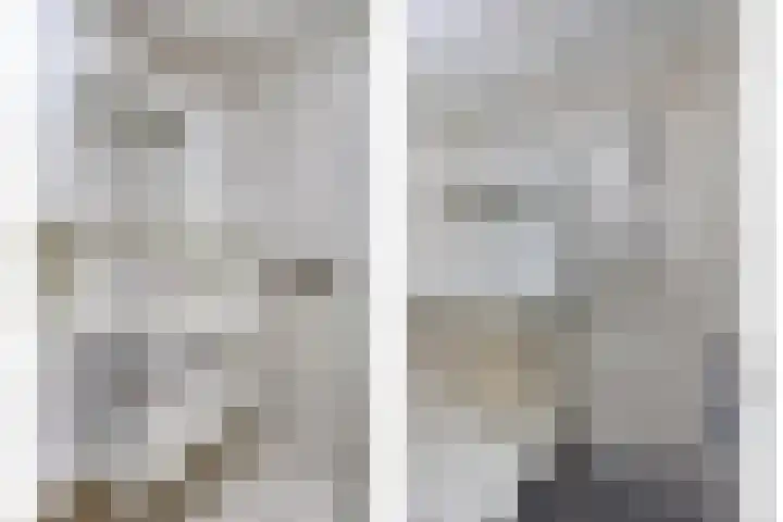 Het Zwanevlot 201 Zutphen thumbnail 23