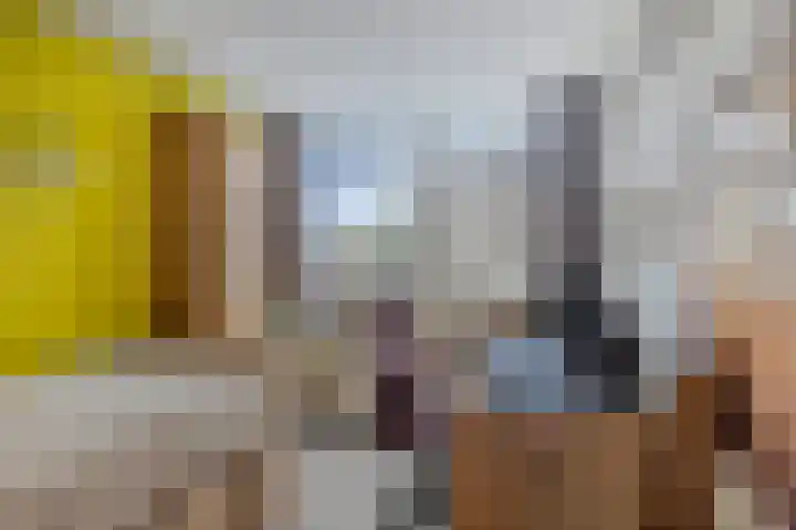 Het Zwanevlot 201 Zutphen thumbnail 26