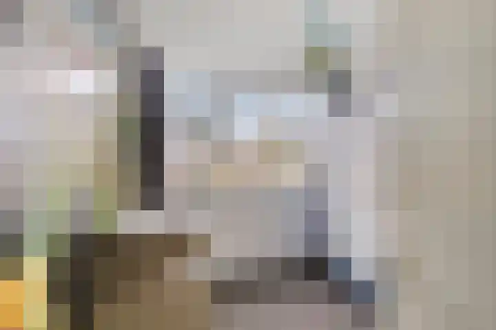 Het Zwanevlot 201 Zutphen thumbnail 27