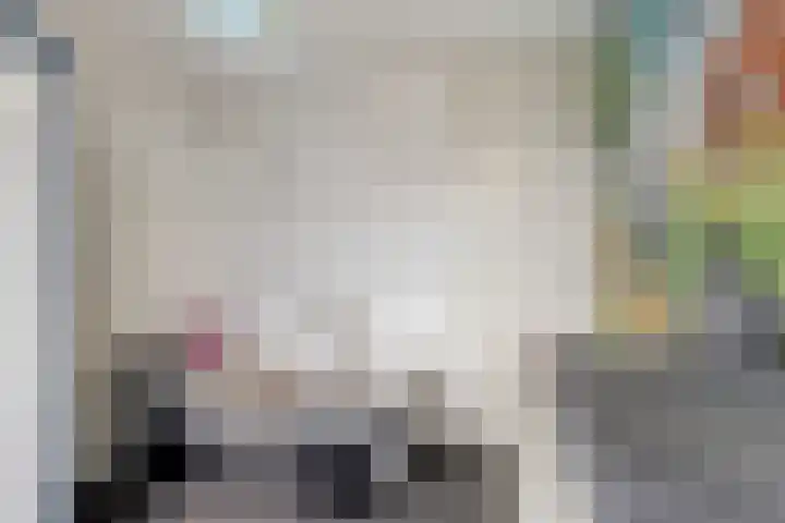 Het Zwanevlot 201 Zutphen thumbnail 28