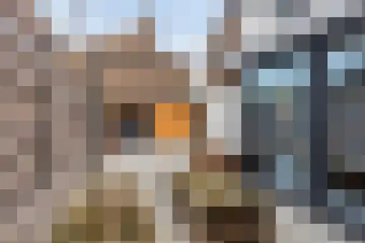 Het Zwanevlot 201 Zutphen thumbnail 32