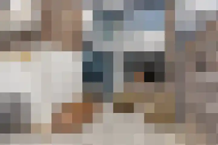 Het Zwanevlot 201 Zutphen thumbnail 33
