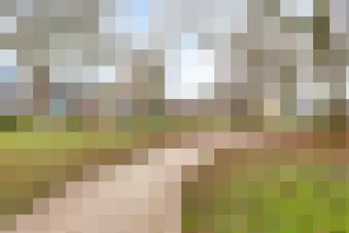 Het Zwanevlot 201 Zutphen thumbnail 37