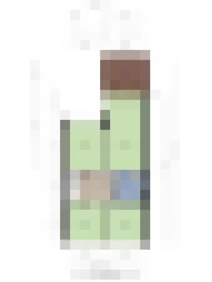 Het Zwanevlot 201 Zutphen thumbnail 41