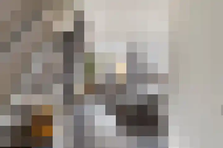 Het Zwanevlot 201 Zutphen thumbnail 6