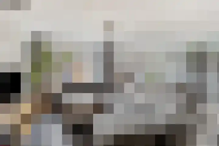 Het Zwanevlot 201 Zutphen thumbnail 7