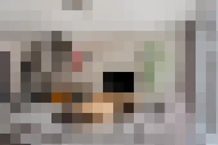 Het Zwanevlot 201 Zutphen thumbnail 8