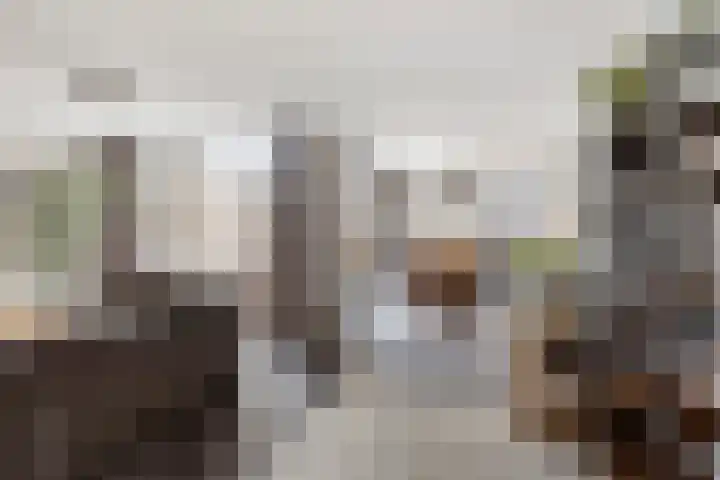 Het Zwanevlot 201 Zutphen thumbnail 9