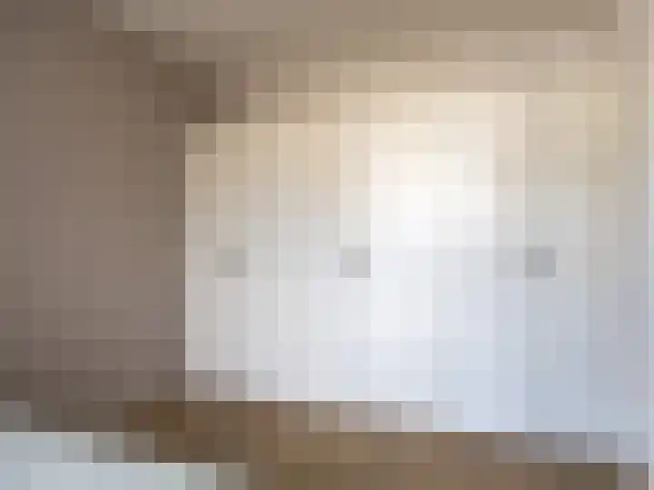 Het Zwanevlot 243 Zutphen thumbnail 10