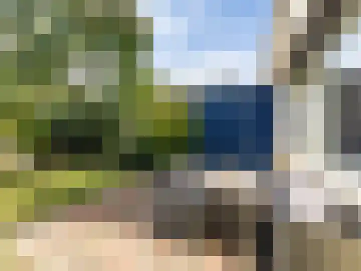 Het Zwanevlot 243 Zutphen thumbnail 12