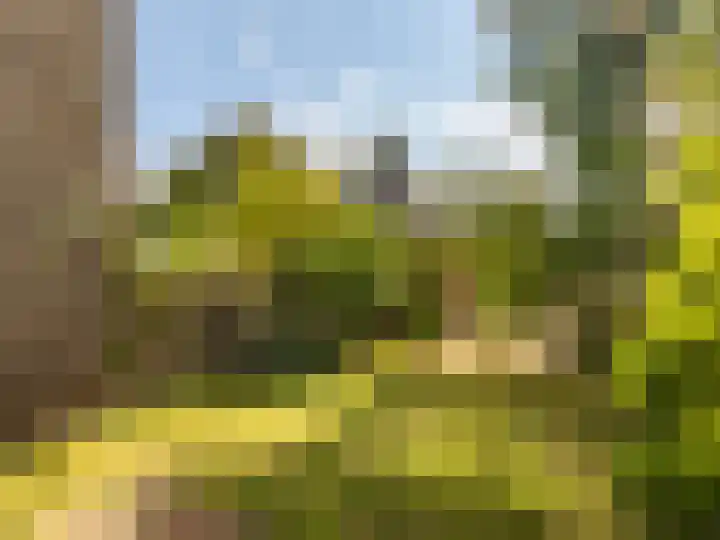 Het Zwanevlot 243 Zutphen thumbnail 13