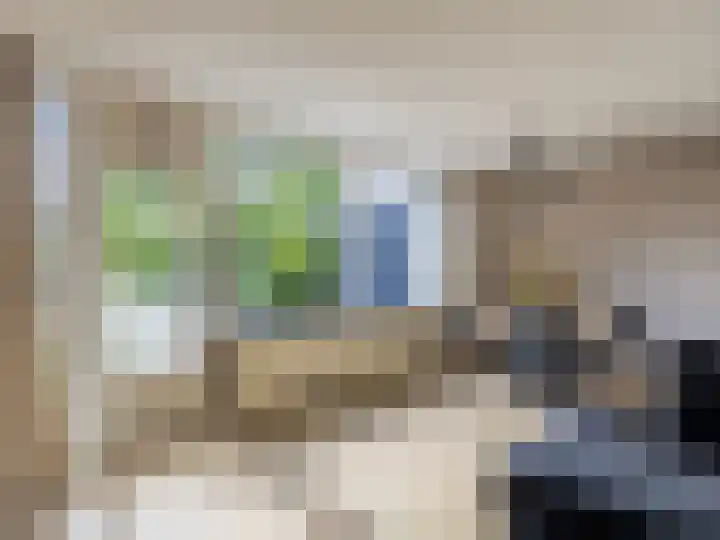 Het Zwanevlot 243 Zutphen thumbnail 4