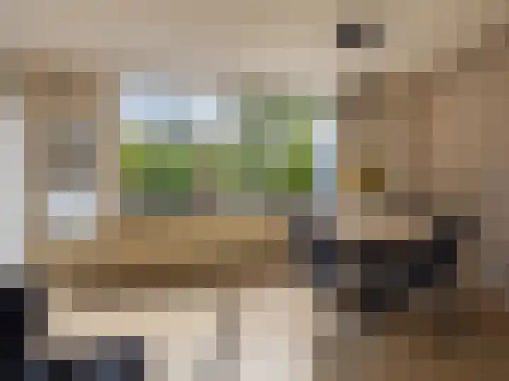 Het Zwanevlot 243 Zutphen thumbnail 5