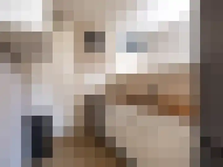Het Zwanevlot 243 Zutphen thumbnail 6