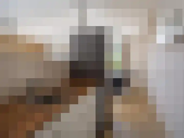 Het Zwanevlot 243 Zutphen thumbnail 7