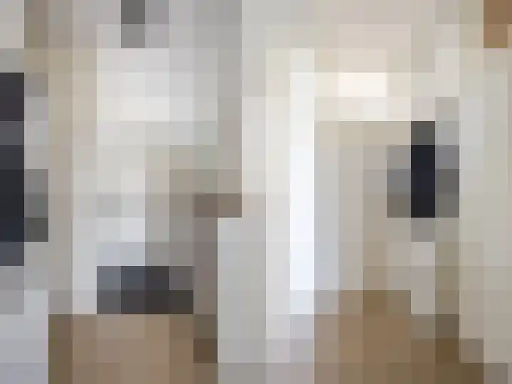 Het Zwanevlot 243 Zutphen thumbnail 8
