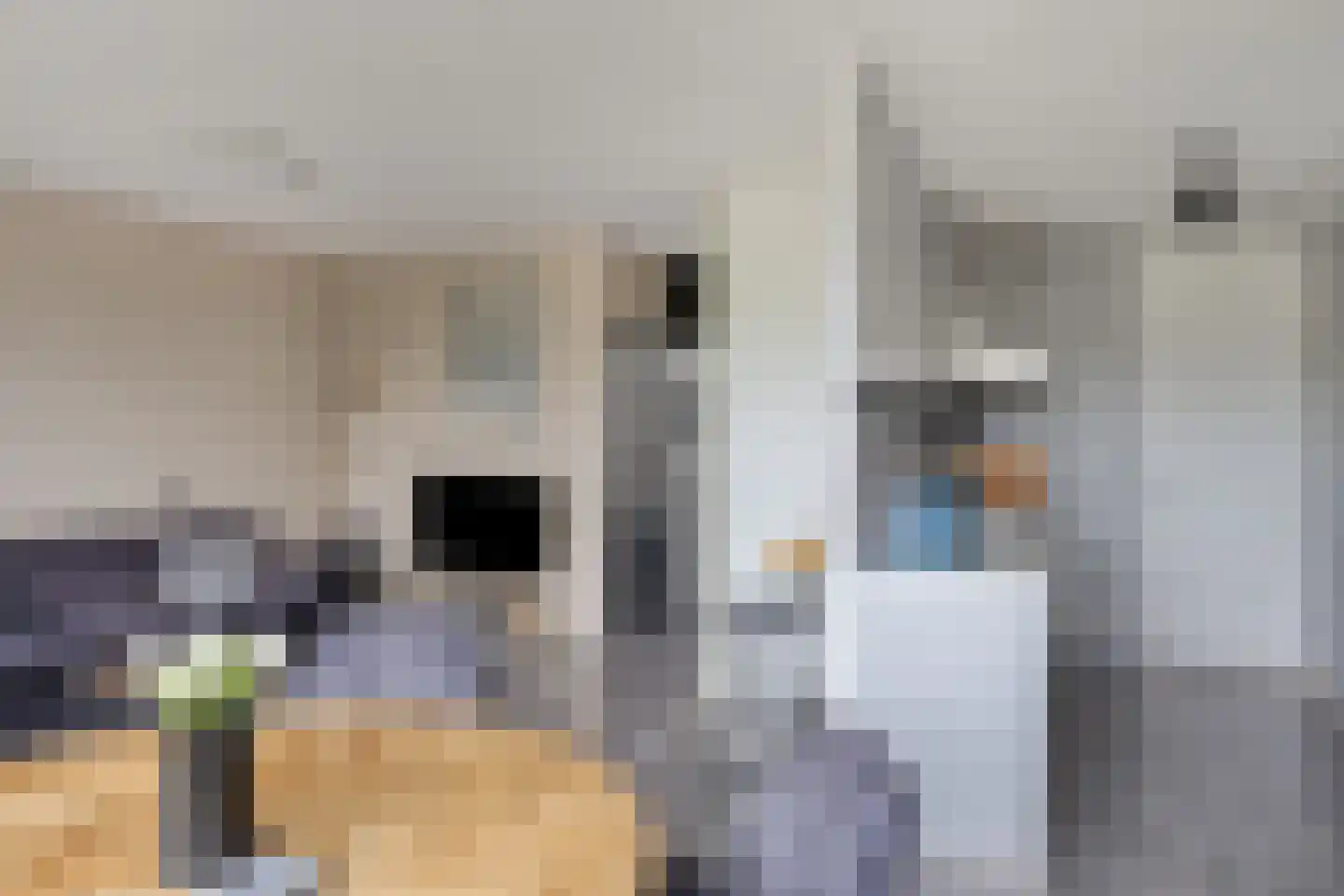 Het Zwanevlot 245 Zutphen thumbnail 18