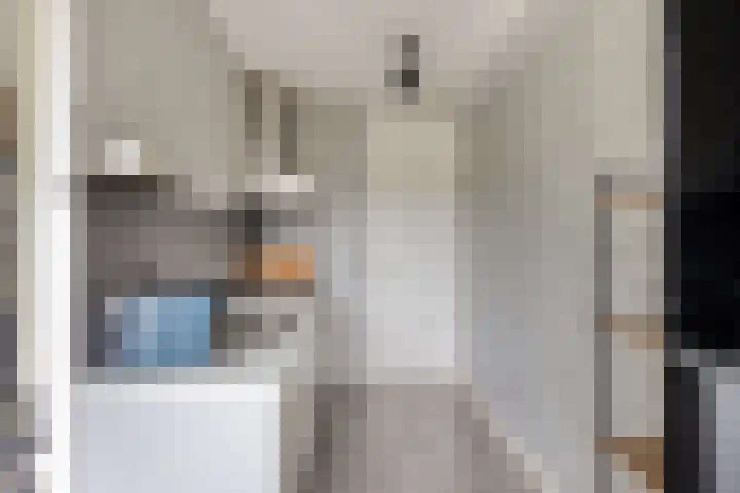 Het Zwanevlot 245 Zutphen thumbnail 19
