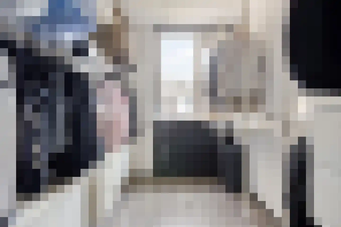 Het Zwanevlot 245 Zutphen thumbnail 20