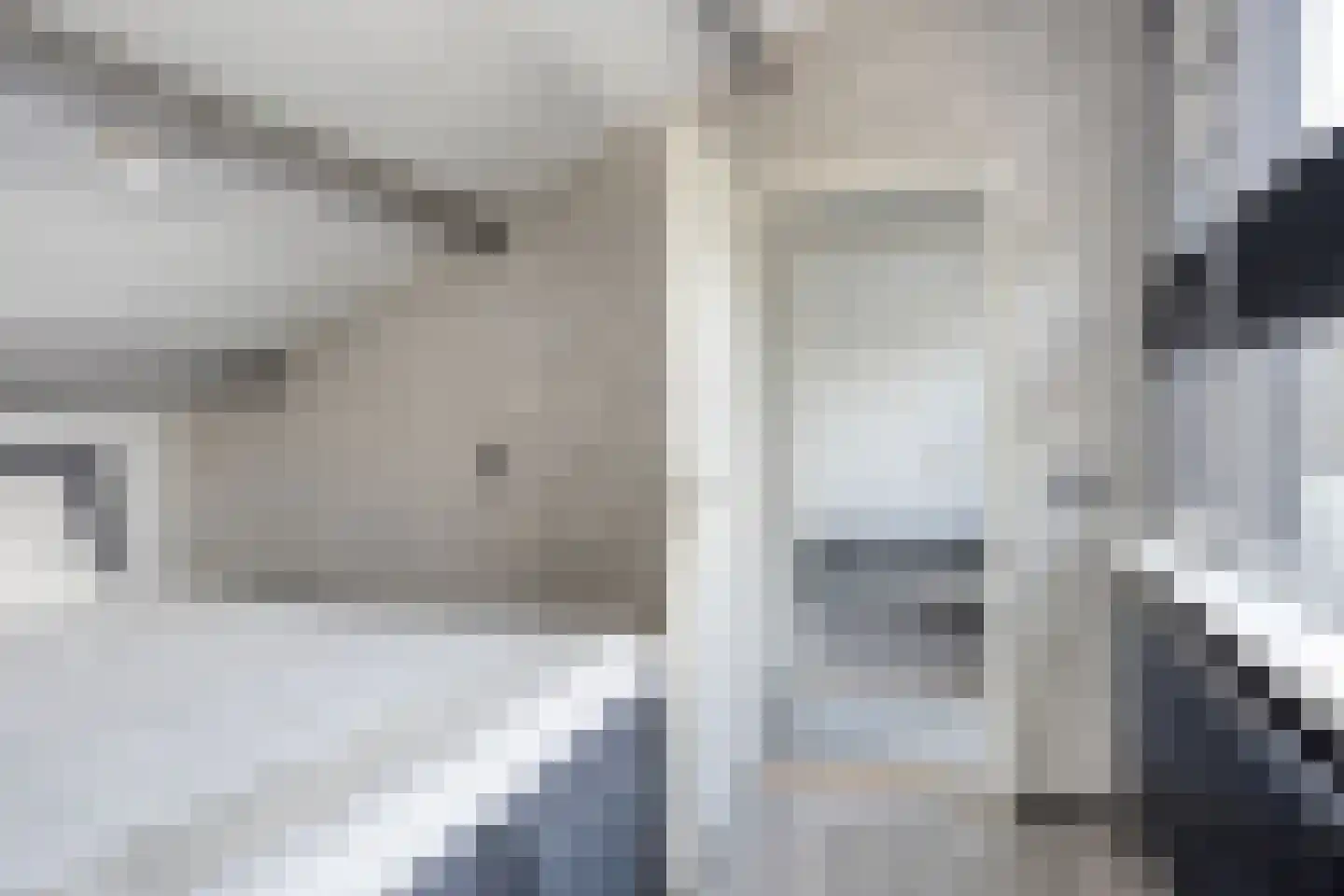 Het Zwanevlot 245 Zutphen thumbnail 23