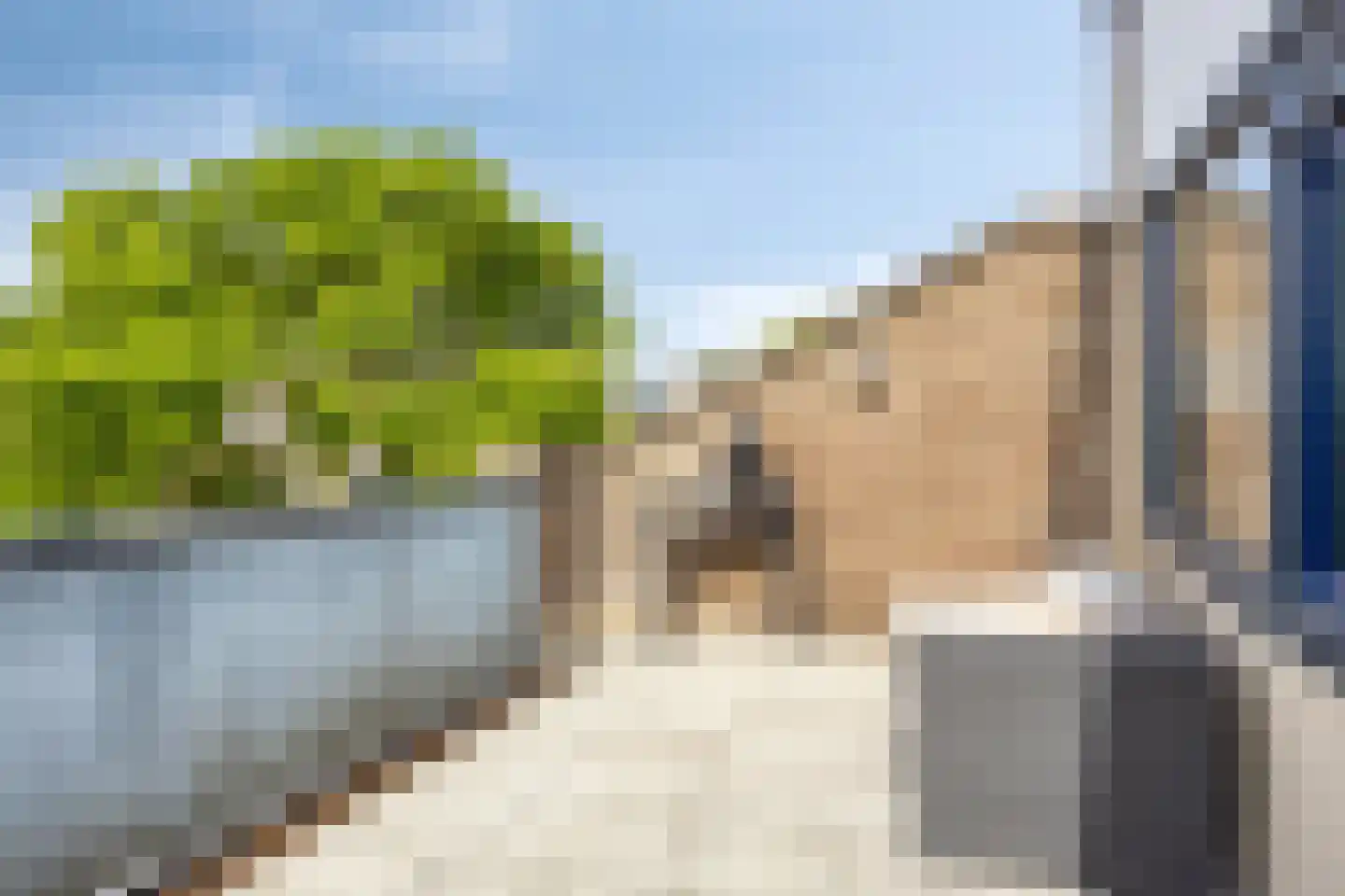 Het Zwanevlot 245 Zutphen thumbnail 27