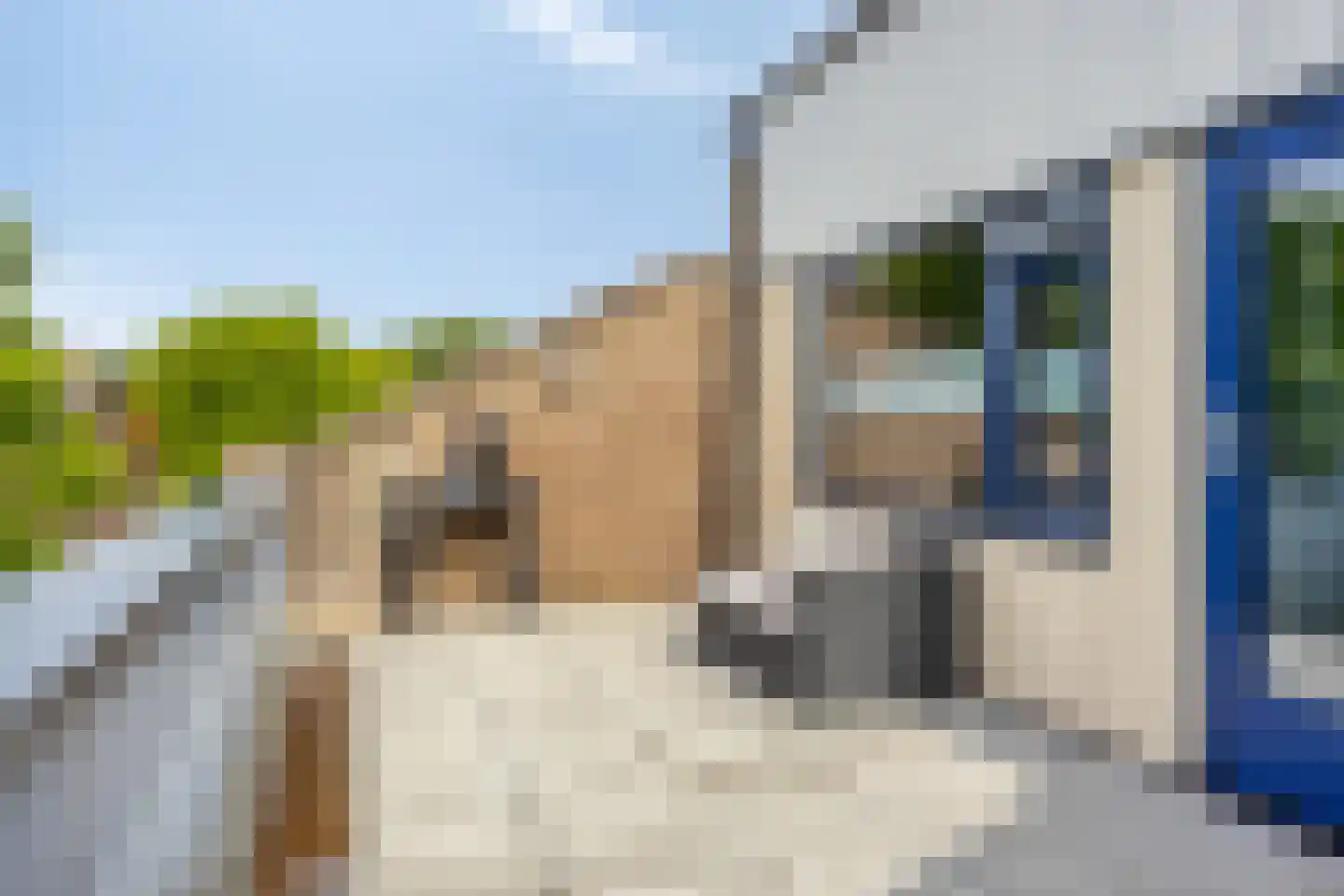 Het Zwanevlot 245 Zutphen thumbnail 28