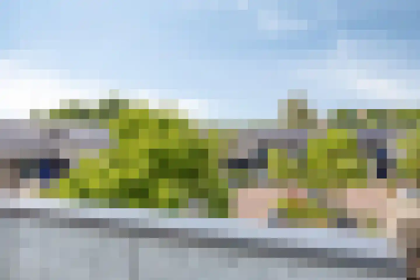 Het Zwanevlot 245 Zutphen thumbnail 29