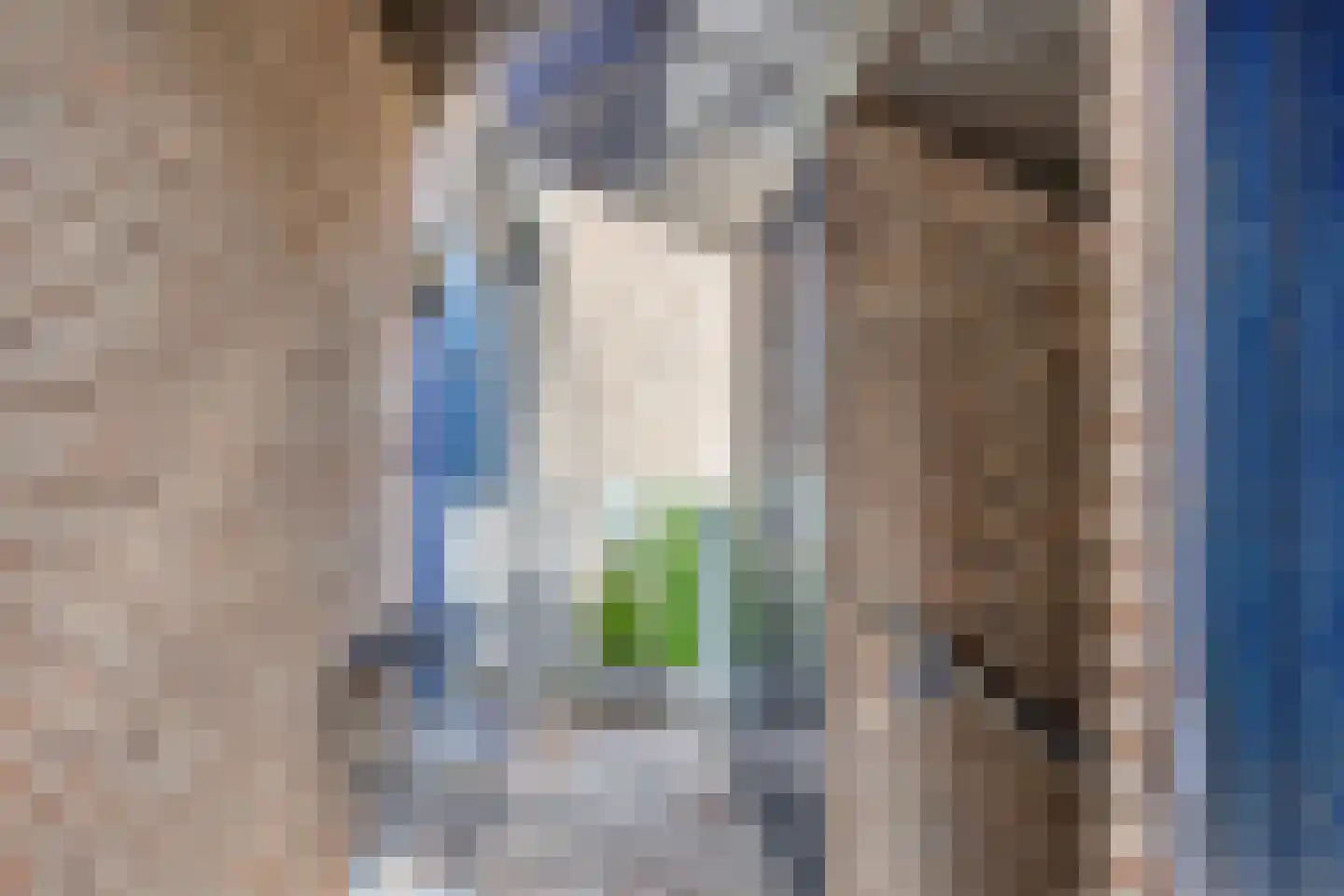 Het Zwanevlot 245 Zutphen thumbnail 8