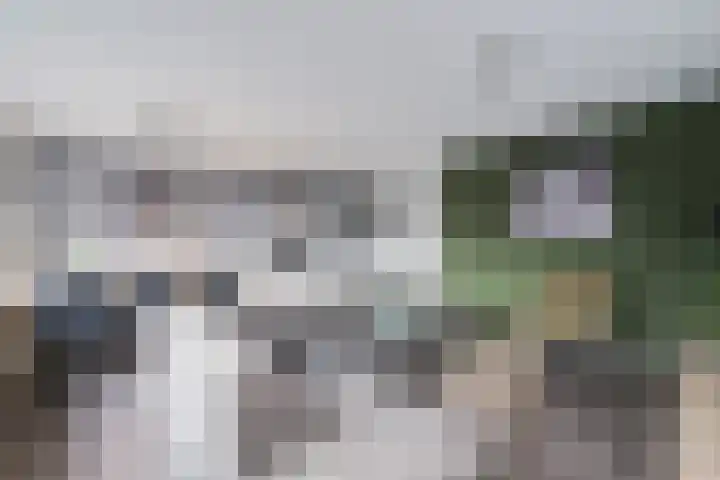 Het Zwanevlot 247 Zutphen thumbnail 10