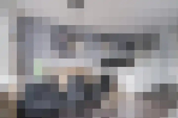Het Zwanevlot 247 Zutphen thumbnail 11