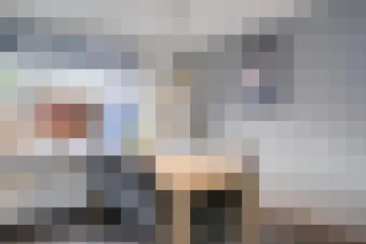 Het Zwanevlot 247 Zutphen thumbnail 12
