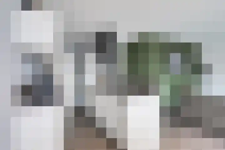 Het Zwanevlot 247 Zutphen thumbnail 15