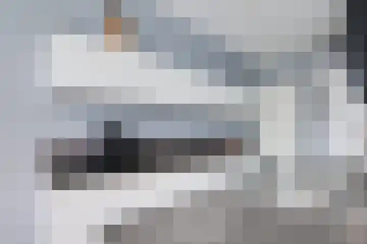 Het Zwanevlot 247 Zutphen thumbnail 16