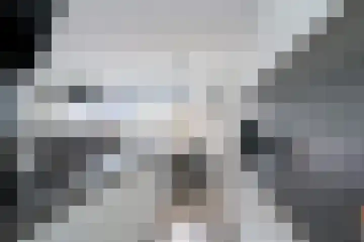 Het Zwanevlot 247 Zutphen thumbnail 19