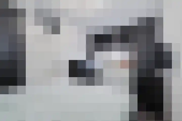 Het Zwanevlot 247 Zutphen thumbnail 24