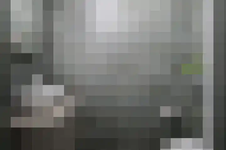 Het Zwanevlot 247 Zutphen thumbnail 26
