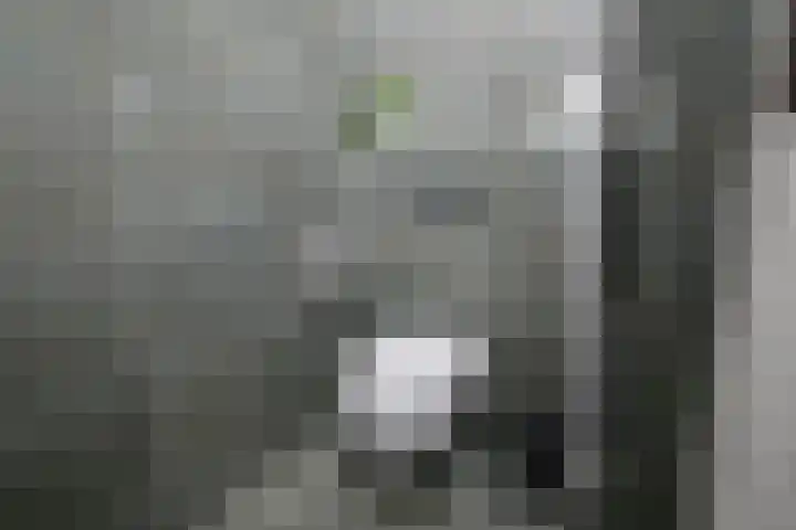 Het Zwanevlot 247 Zutphen thumbnail 27