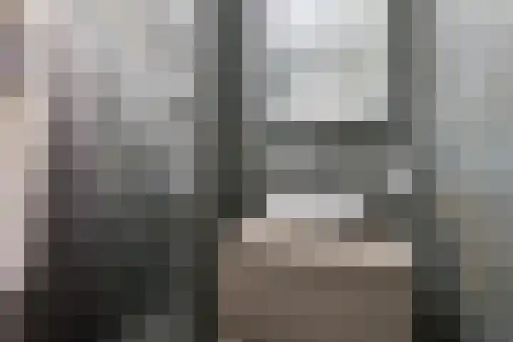 Het Zwanevlot 247 Zutphen thumbnail 28