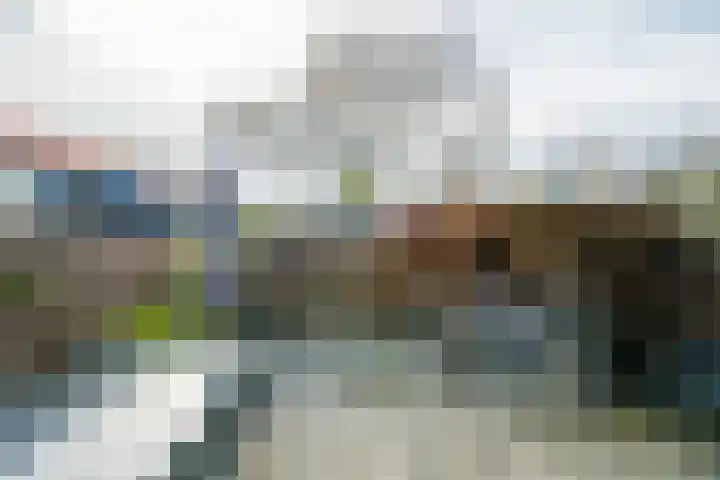 Het Zwanevlot 247 Zutphen thumbnail 30