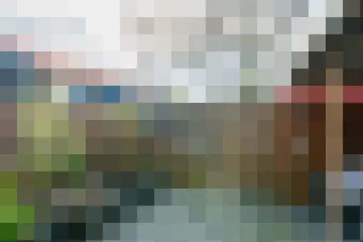 Het Zwanevlot 247 Zutphen thumbnail 32
