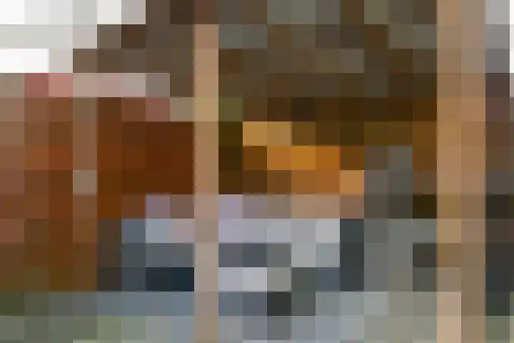 Het Zwanevlot 247 Zutphen thumbnail 34