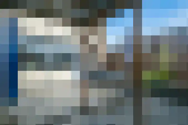 Het Zwanevlot 247 Zutphen thumbnail 37