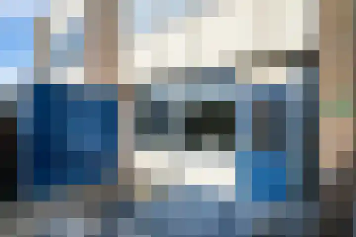 Het Zwanevlot 247 Zutphen thumbnail 39