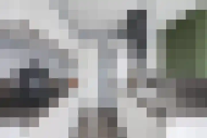 Het Zwanevlot 247 Zutphen thumbnail 4